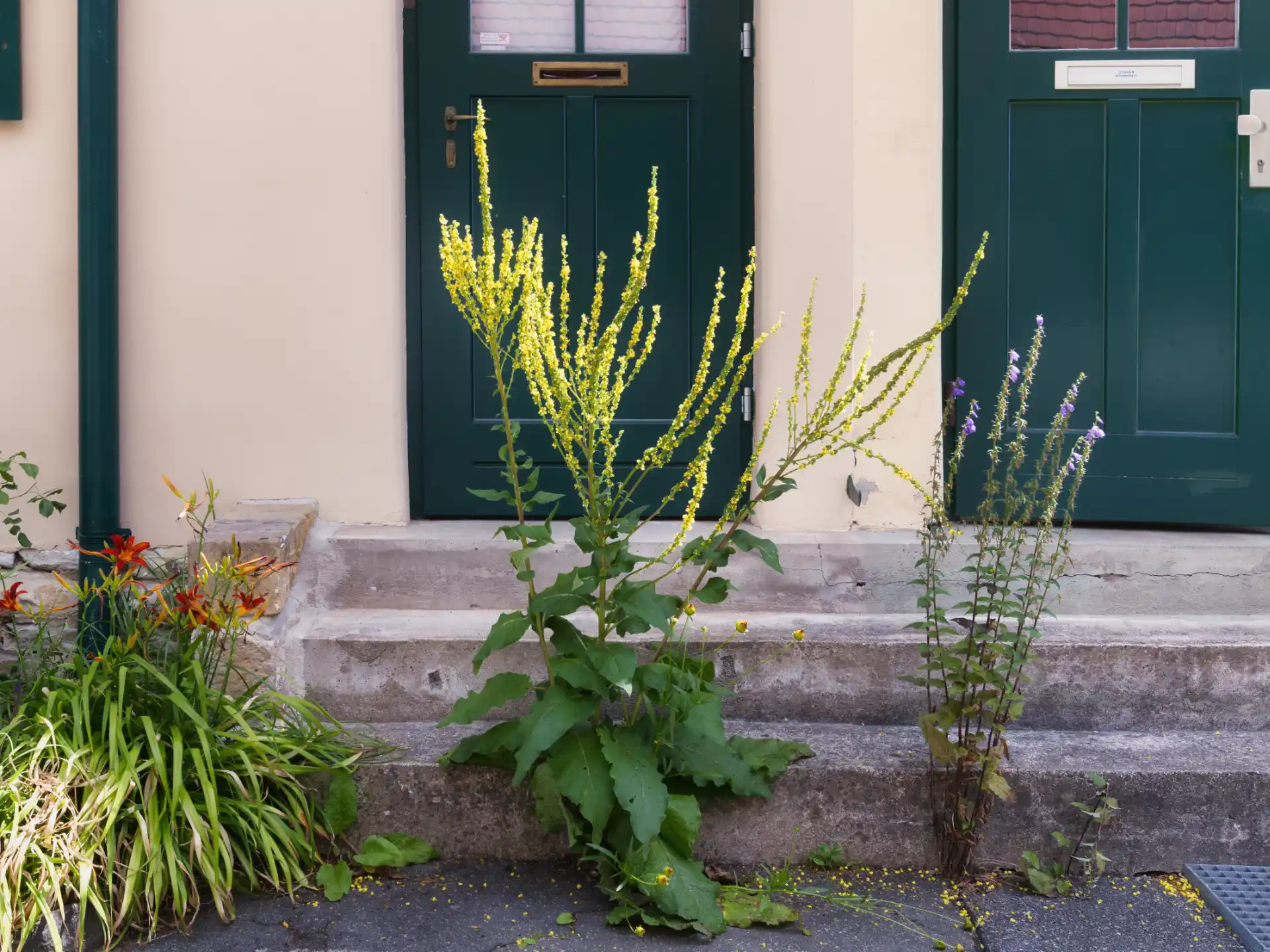 Wanderung über den Heller zur Gartenstadt