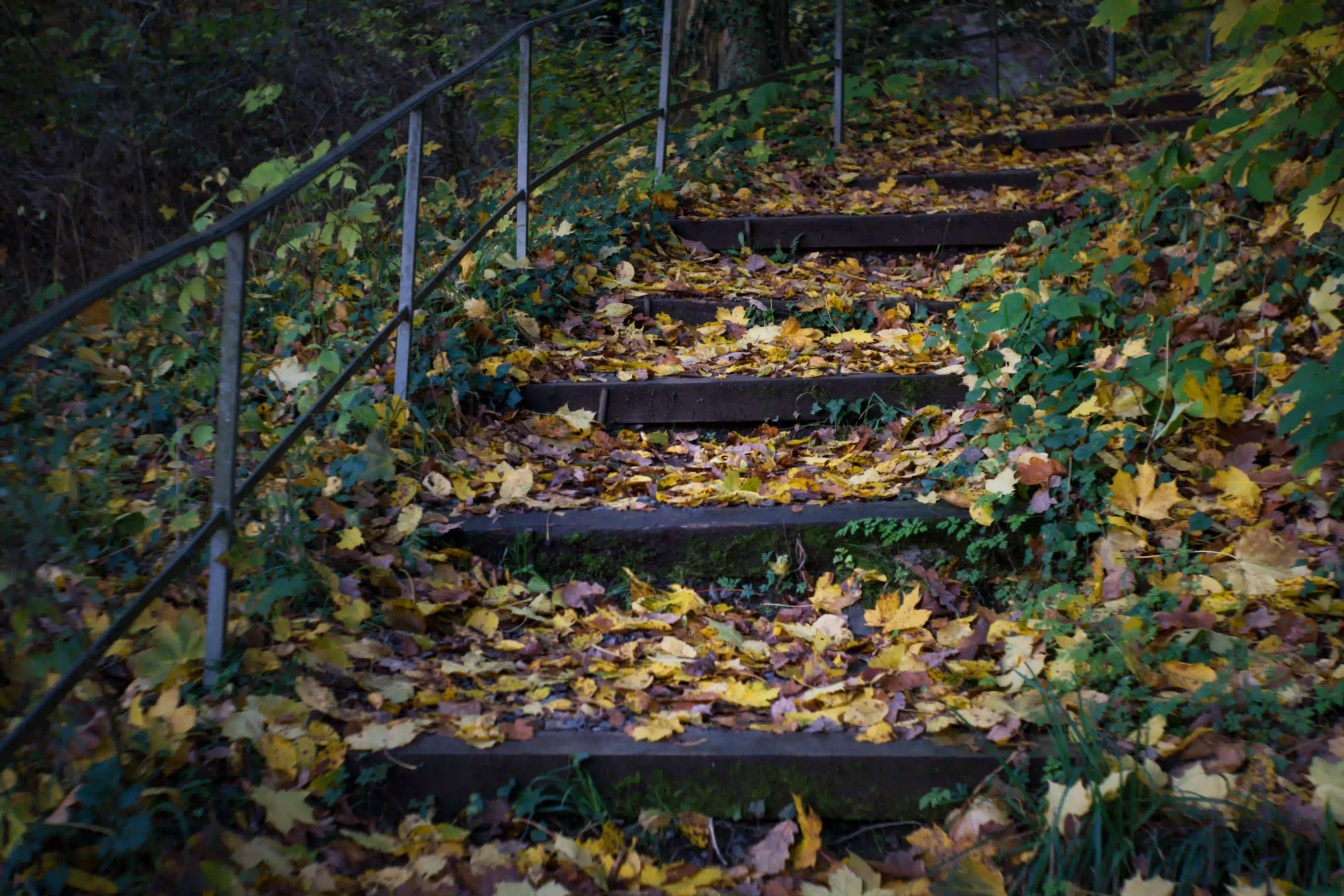 Herbstmomente