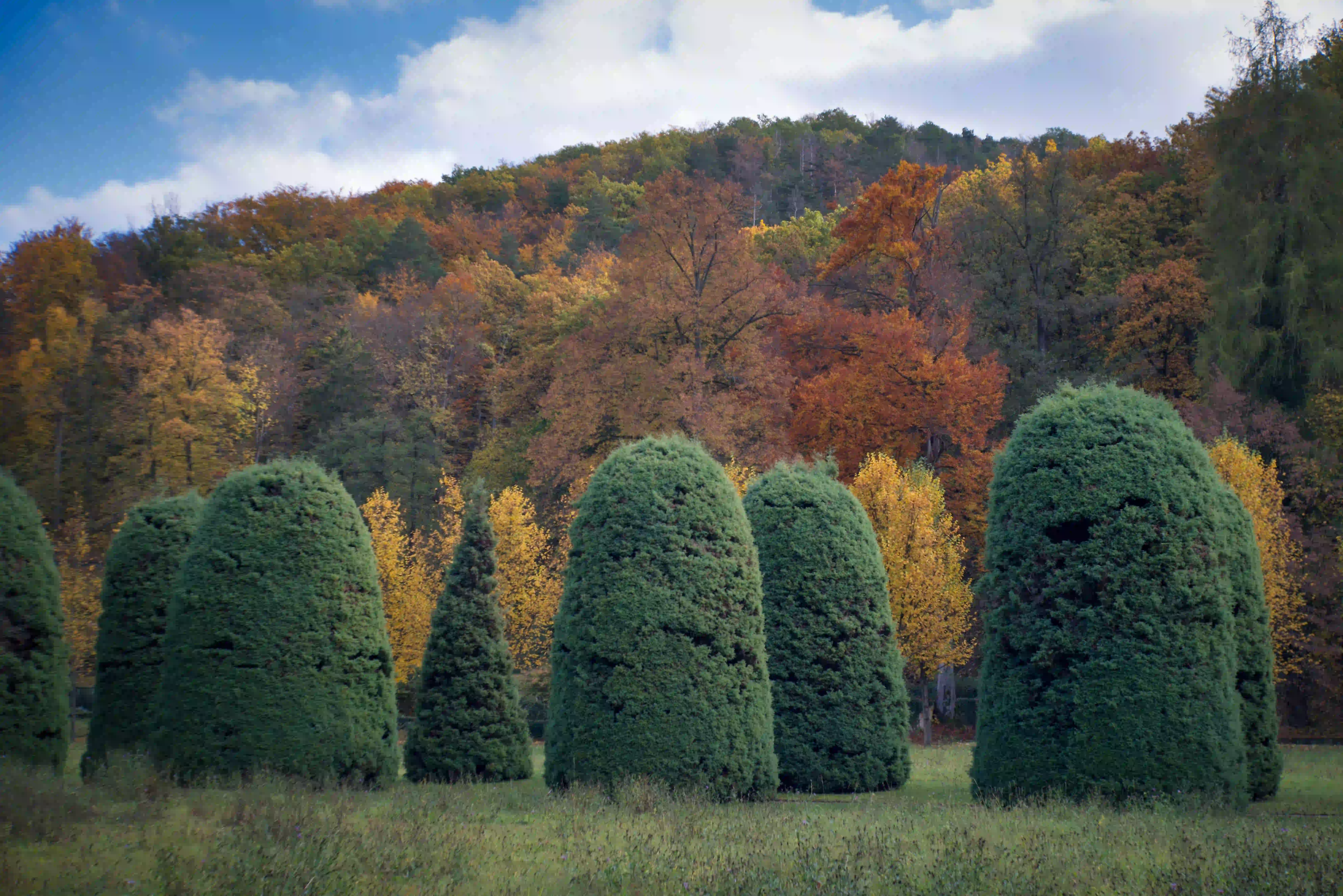 Herbstmomente