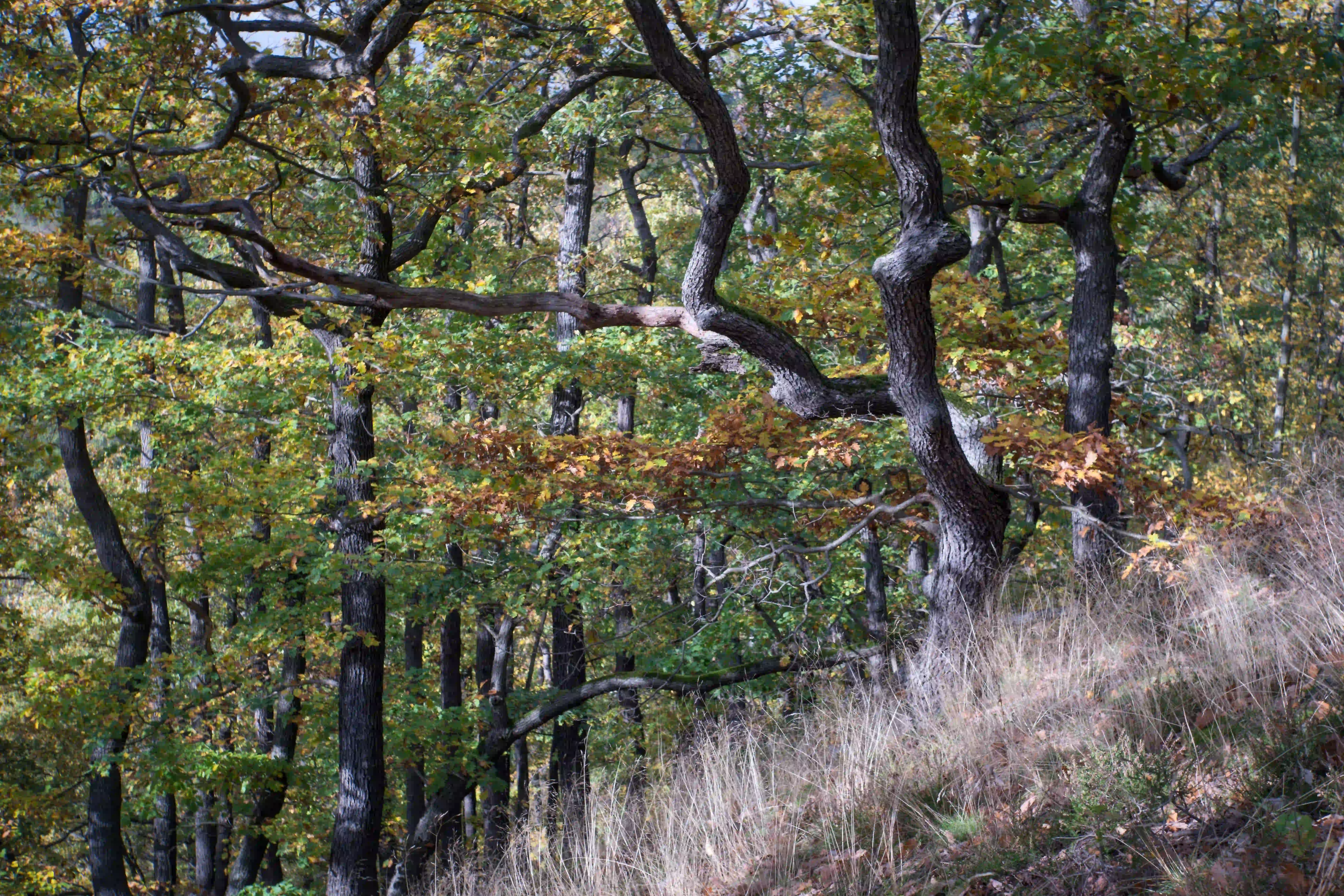 Herbstmomente