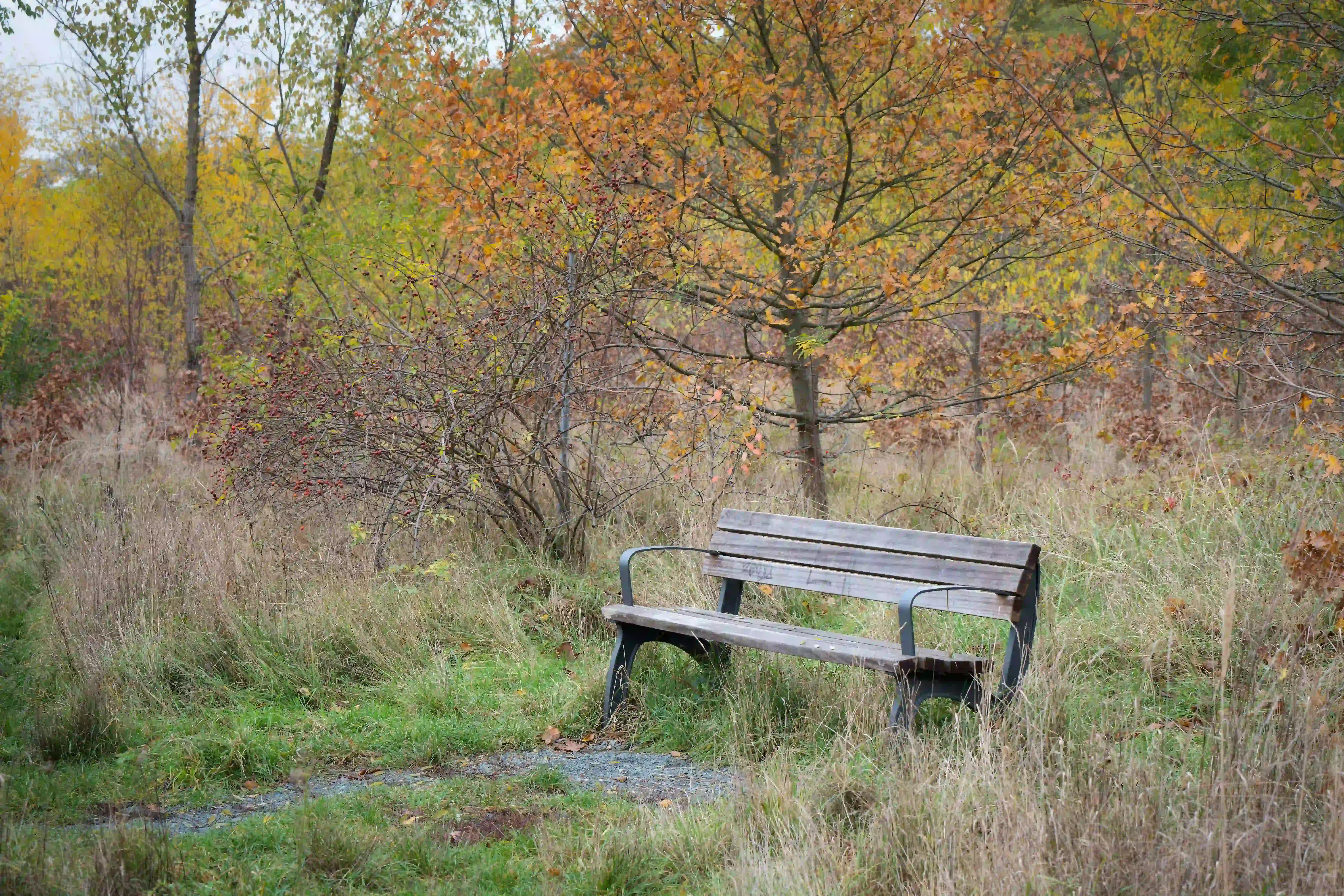 Herbstmomente