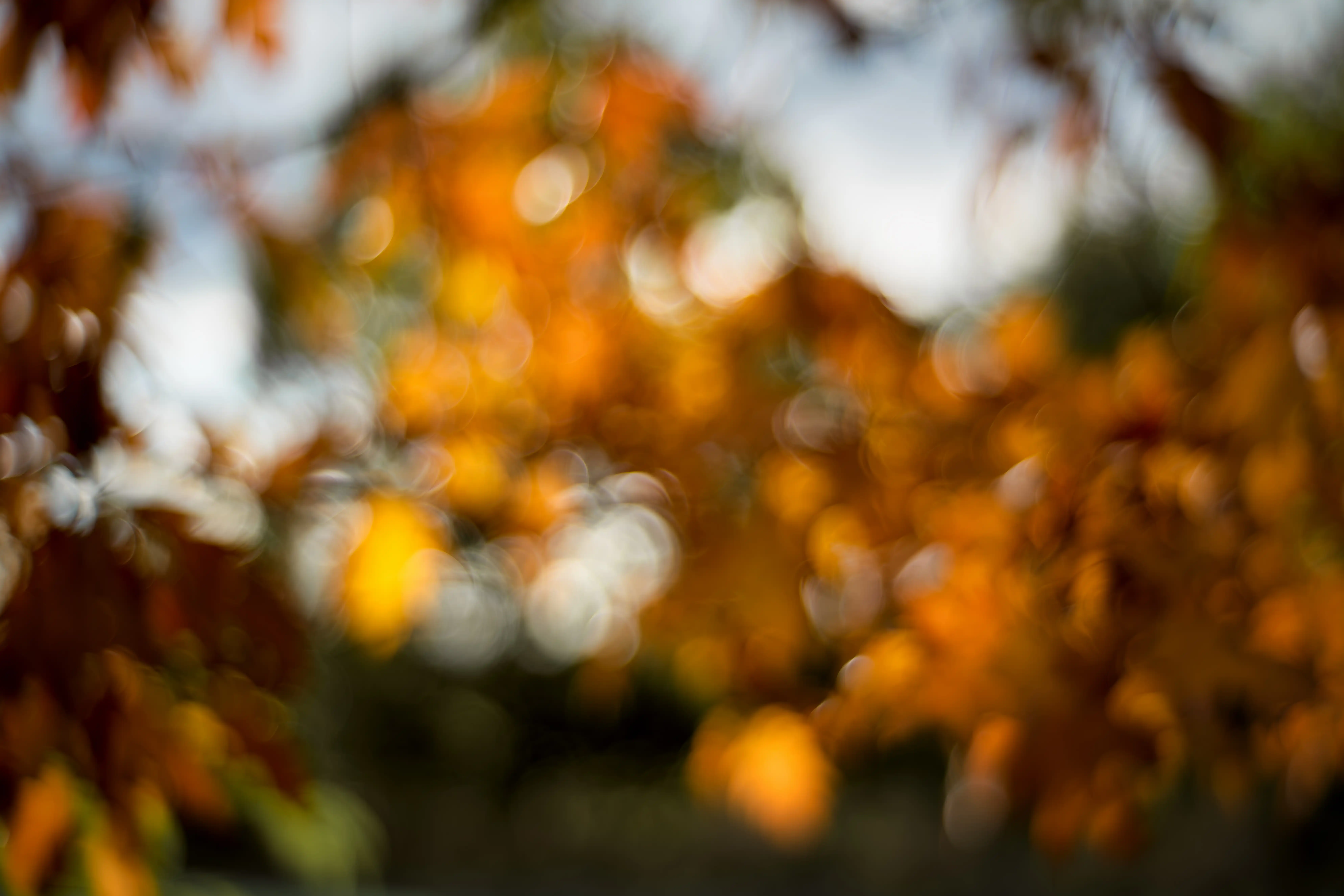 Herbstmomente